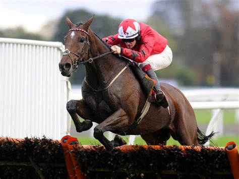 cheltenham accumulator bet|Cheltenham Accumulator Tips .
